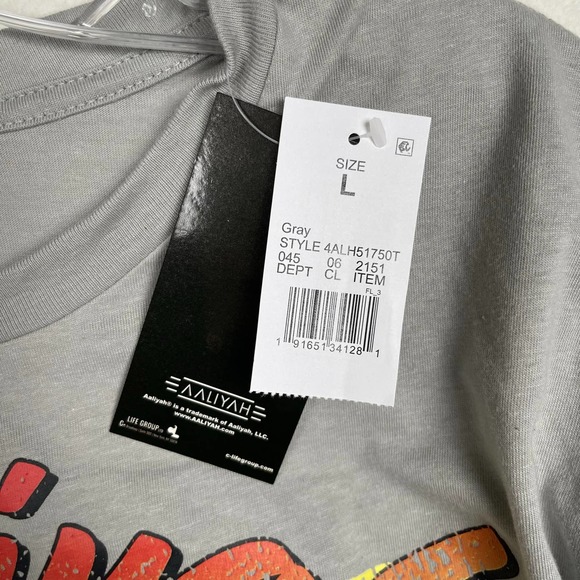 NWT Aaliyah Princess of R&B Long Sleeve Gray Vinyl Graphic Tee Size Large Unisex - Picture 7 of 9